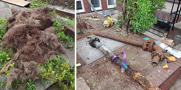 Left, the root mass removed from the valve chamber. Right, the corroded mild steel pipework.