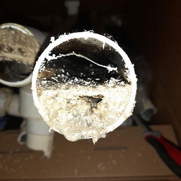 Pipework removed from the Level 6 kitchen showing a build up of FOG.